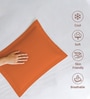 Burnt Orange Solid 400 TC Cotton Standard Sized 2 Pillow Covers