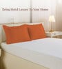Burnt Orange Solid 400 TC Cotton Standard Sized 2 Pillow Covers