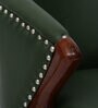 Busveal Leatherette Arm Chair In Green Colour