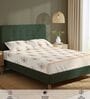 Buttercream Floral 200 TC Cotton Double Bedsheet with 2 Pillow Covers