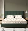 Buttercream Floral 200 TC Cotton Double Bedsheet with 2 Pillow Covers