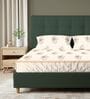 Buttercream Floral 200 TC Cotton Double Bedsheet with 2 Pillow Covers