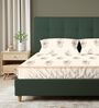 Buttercream Floral 200 TC Cotton King Sized Bedsheet with 2 Pillow Covers
