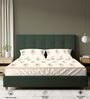 Buttercream Floral 200 TC Cotton Single Bedsheet with 1 Pillow Cover