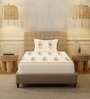 Buttercream Floral 200 TC Cotton Single Bedsheet with 1 Pillow Cover