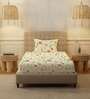 Buttercream Floral 200 TC Cotton Single Bedsheet with 1 Pillow Cover
