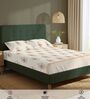 Buttercream Floral 200 TC Cotton Single Bedsheet with 1 Pillow Cover