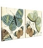 Butterfly Multicolour Synthetic Wood Framed Canvas Art Prints