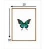 Butterfly Wall Art