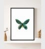 Butterfly Wall Art