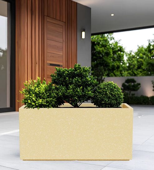 BXT Beige 24 Inch German Polymer Rectangular Plant Container