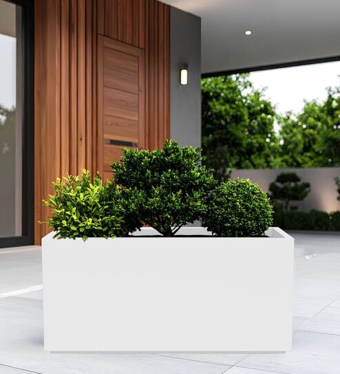 BXT White 24 Inch German Polymer Rectangular Plant Container