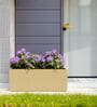 BXT Beige 21 Inch German Polymer Rectangular Plant Container