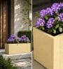 BXT Beige 21 Inch German Polymer Rectangular Plant Container