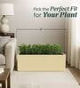 BXT Beige 21 Inch German Polymer Rectangular Plant Container