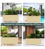 BXT Beige 24 Inch German Polymer Rectangular Plant Container