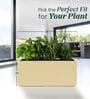 BXT Beige 24 Inch German Polymer Rectangular Plant Container