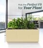 BXT Beige 36 Inch German Polymer Rectangular Plant Container
