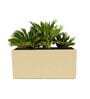 BXT Beige 36 Inch German Polymer Rectangular Plant Container