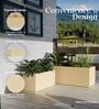 BXT Beige 36 Inch German Polymer Rectangular Plant Container
