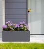 BXT Grey 21 Inch German Polymer Rectangular Plant Container