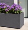 BXT Grey 21 Inch German Polymer Rectangular Plant Container