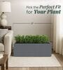 BXT Grey 21 Inch German Polymer Rectangular Plant Container