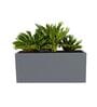 BXT Grey 36 Inch German Polymer Rectangular Plant Container
