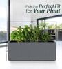 BXT Grey 36 Inch German Polymer Rectangular Plant Container