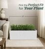 BXT Marble White 21 Inch German Polymer Rectangular Plant Container