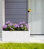 BXT Marble White 21 Inch German Polymer Rectangular Plant Container