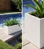 BXT White 21 Inch German Polymer Rectangular Plant Container