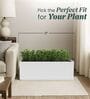 BXT White 21 Inch German Polymer Rectangular Plant Container
