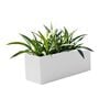 BXT White 21 Inch German Polymer Rectangular Plant Container