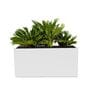 BXT White 24 Inch German Polymer Rectangular Plant Container