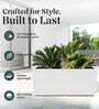 BXT White 24 Inch German Polymer Rectangular Plant Container