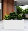 BXT White 24 Inch German Polymer Rectangular Plant Container