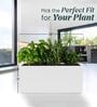 BXT White 24 Inch German Polymer Rectangular Plant Container