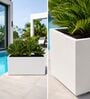 BXT White 36 Inch German Polymer Rectangular Plant Container