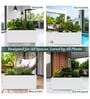 BXT White 36 Inch German Polymer Rectangular Plant Container