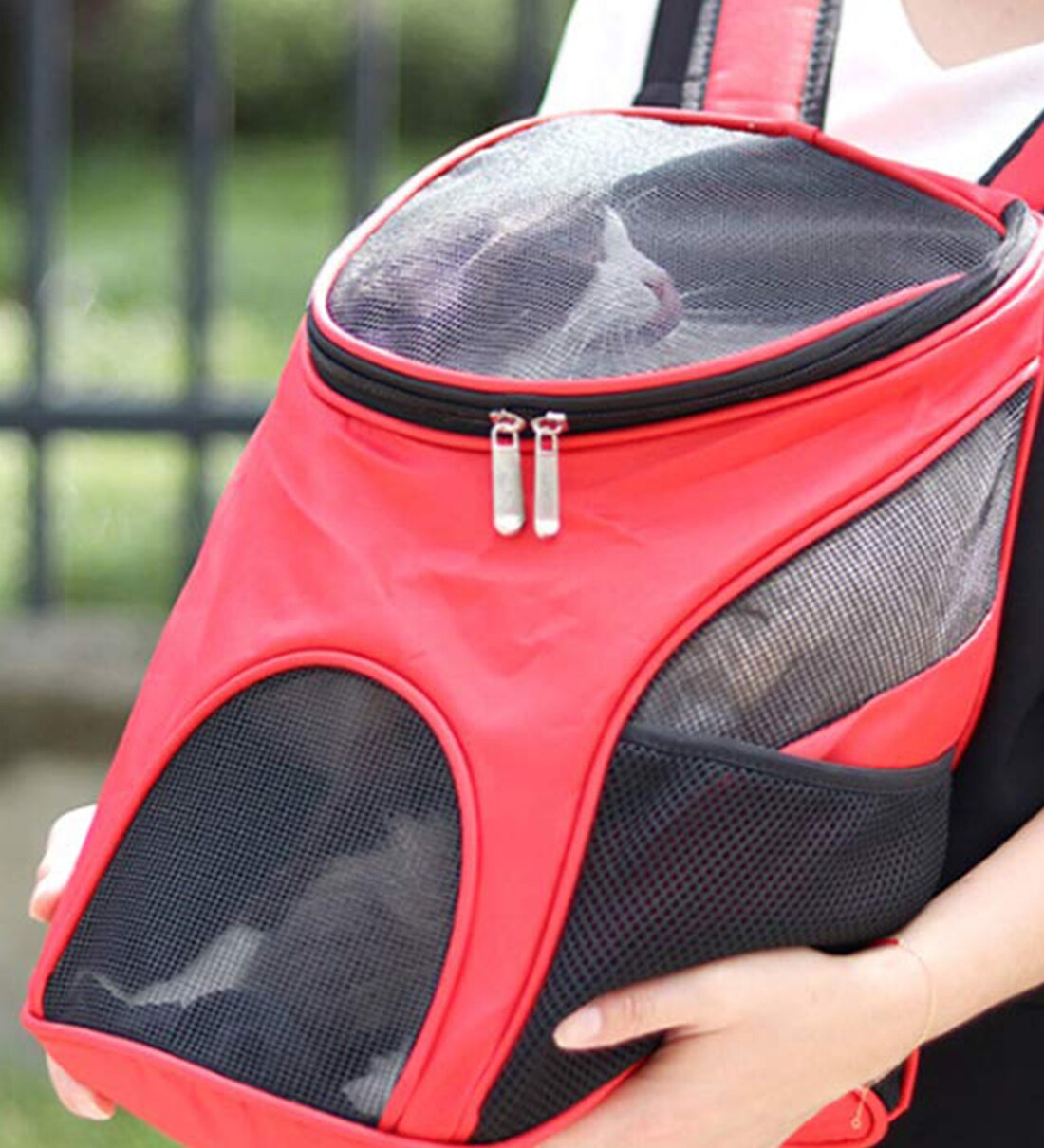 Buy Carrier Backpack in Red & Black Colour By Emily Pets Online