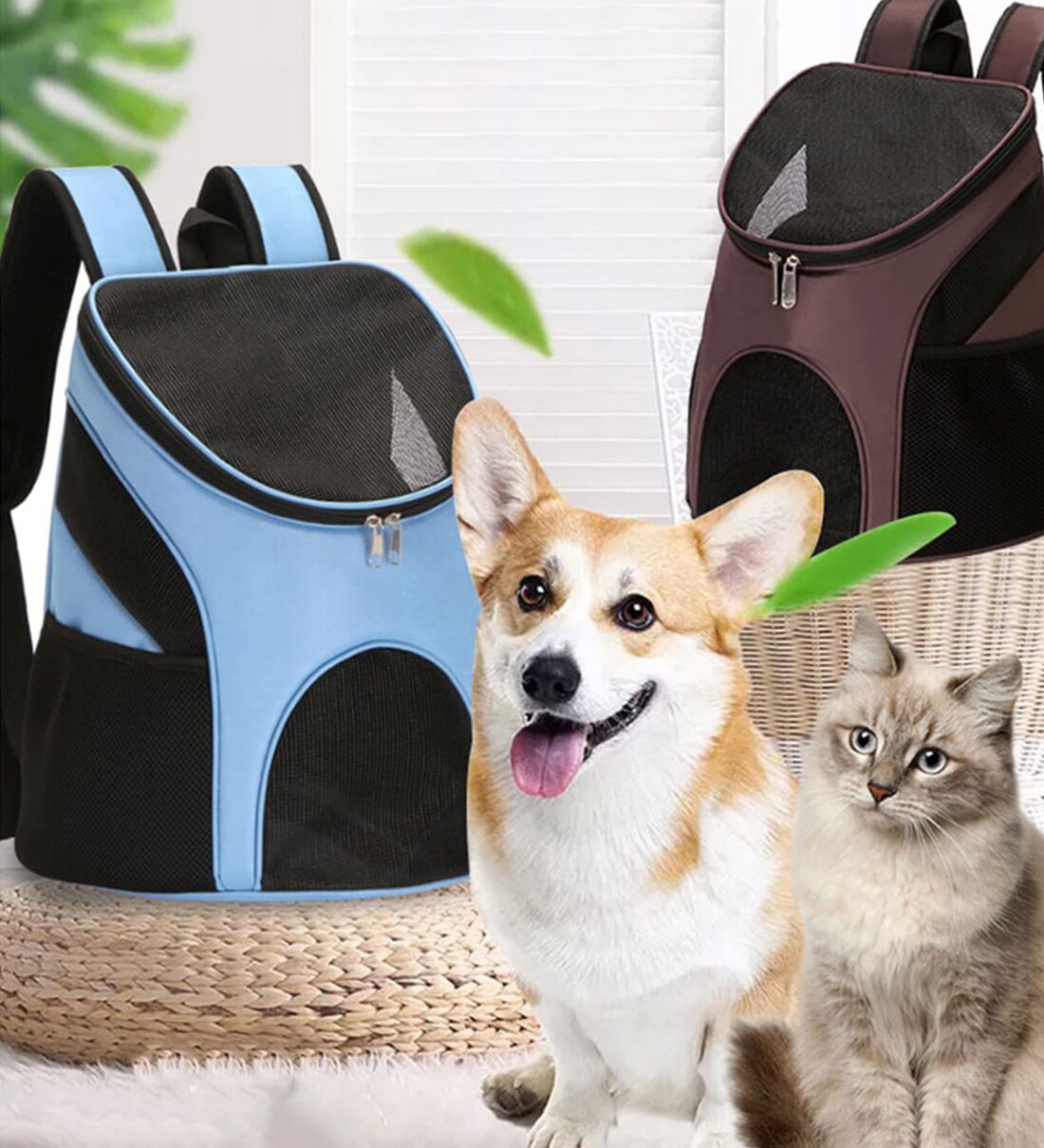 Buy Carrier Backpack in Blue & Black Colour By Emily Pets Online