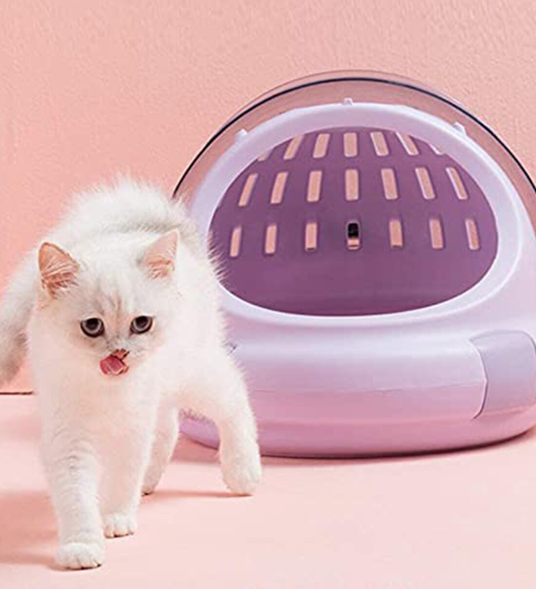 Buy Cat House in Cream Colour By Emily Pets Online Cat Beds Cat