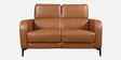 Calista Leather Fabric 2 Seater Sofa In Brown Colour
