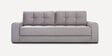 Calliro Velvet Convertible Sofa Cum Bed in Grey Color,