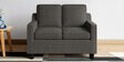 Candour Fabric 2 Seater Sofa In Grey Colour