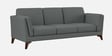 Candy Fabric 3 Seater Sofa in Nimbus Grey Color