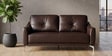 Canyon Half Leather 3 Seater Sofa In Brown Colour