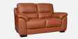 Canyon Leather 2 Seater Sofa Set In Brown Colour