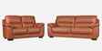 Canyon Leather 3 Seater Sofa In Brown Colour